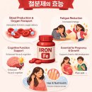 베스트약국 - 군산시 월명로 216 | 베스트약국