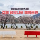 매화2공원 이미지