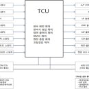 요소수 정부 발표 믿지 마시고.. 최대 확보하십시오.. 이미지