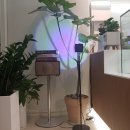 cafe oort(카페 오르트) 이미지