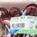 큐티모아