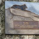 대제일약국 이미지