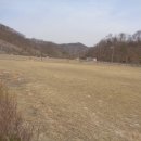 율리천 Daum카페