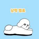 황금애견 | 방콕 전망 좋은 황금 사원 왓 사켓｜강아지랑 방콕 파타야 여행 EP.28