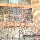 영등신일아파트 이미지