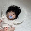 하이벨몽 이미지