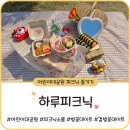 CU화양공원점 | 어린이대공원 데이트 [하루피크닉] 소품 대여ㅣ겹벚꽃 나무 아래에서 즐기는 피크닉