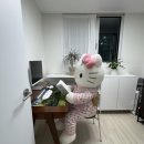 스페이스룸 수납장 사용 후기