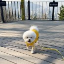 한수24시동물병원 이미지