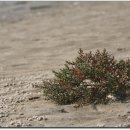 주식회사 한누리 이미지