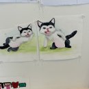 너애개만