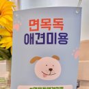 면목독 이미지