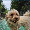 견생유치원 이미지