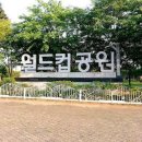 월드컵 평화의 공원 (World cup peace park) 이미지