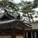 한반도농업협동조합(주유소) | 국내여행 강원도 영월정선태백 2박3일 힐링여행 후기