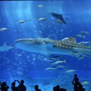 아크릴로 만나는 세계 이미지