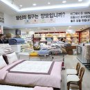 메리퀸동 이미지