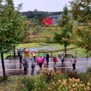 왕의 정원 이미지