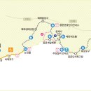 제주 올레길 8코스 이미지