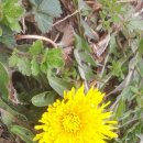 대벌농장 이미지