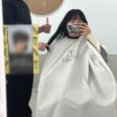 마곡역 미용실 콤브제이헤어마곡점 레이어드 S컬펌...풍성해진 머릿결과 귀여운 강아지로 힐링하고온 후기
