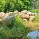 신등면사무소 이미지