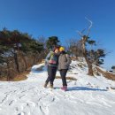 대지-걷기 이미지