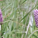 명곡치과의원 | 드디어 때가 왔어요! 내 치아 인생 리셋각 잡은 썰 푼다