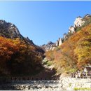 (강원도 양양군) 설악산 ; 흘림골~주전골 (14.10.12) 이미지