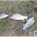 용담낚시터 이미지