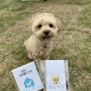 밤순식탁 이미지