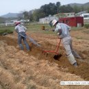 이랴이랴 워~워 이미지