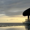 아일랜드리솜 이미지