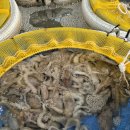 진도아리랑회센터 이미지