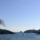 짜장열차 | 2) 게장 맛집 정다운 식당, 피읖카페, 오동도 동백열차, 동백꽃, 사진 스팟, 순심원 해물철판짜장, 돌산...