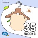 현아목장 | 임신일기 6 - 34주 ~ 37주 (막달검사 / 출산준비)