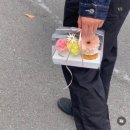 신중로13번길 | [서귀포 레터링 케이크 후기🌷] 내돈내산 | ‘히릿케이크’ | 레터링케이크 | 올레시장 근처 | 찐후기✨