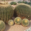 대순농장 이미지