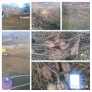 김종군농장 이미지