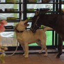 미경농장 이미지