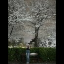 옥수 스포츠경향