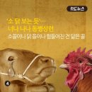 소닭보듯
