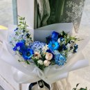 장미로 | 두호동예쁜꽃집 파란장미로 마음 전한 오월의 정원 꽃다발 후기