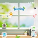 성지애견 이미지