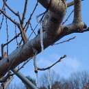 복사골농장 이미지