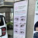 강동-길동-162 | 천호속눈썹 하이롬블리 일대일 시술 프라이빗 대만족 펌 후기