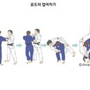 구서유도관 이미지