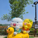 호수공원6로 이미지