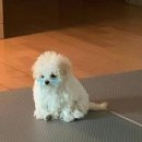 쪼꼴락
