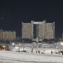 비바호텔&리조트 C동 | [홍천 비발디파크 소노벨 스키장] C동 취사, 스키 렌탈 및 편의시설, 스키장 가격, 이용후기